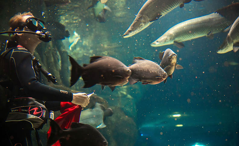 Moskvarium Aquarium, Moscow, Russia