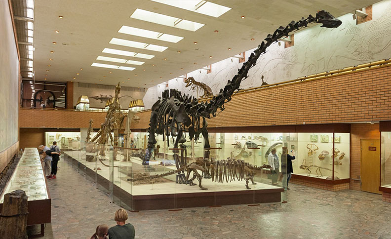Orlov Paleontological Museum, Moscow, Russia